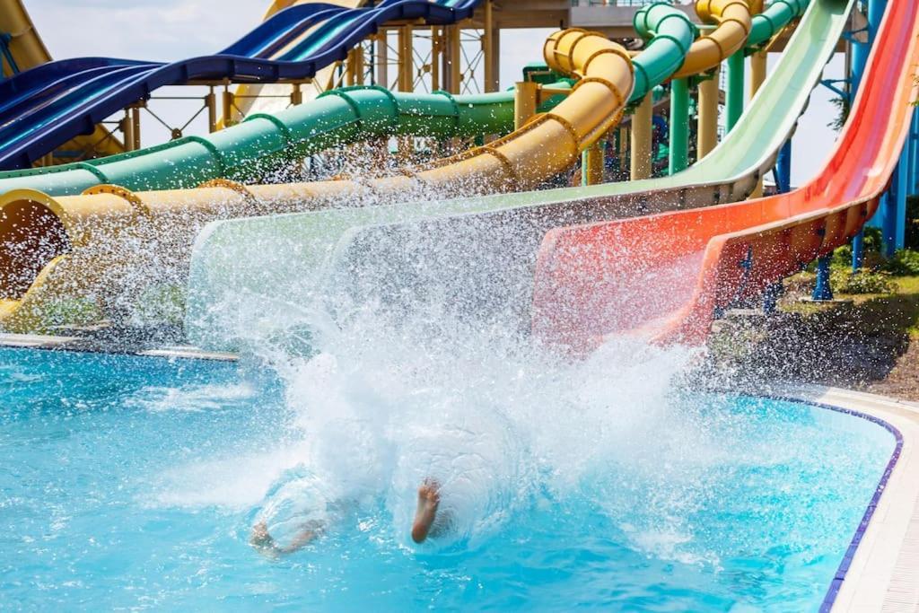 Cavalo Preto Premium Stays Картейра Экстерьер фото